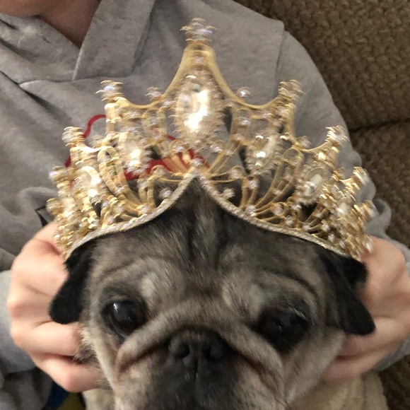 Wedding Crown Tiara - Picture 14 of 16